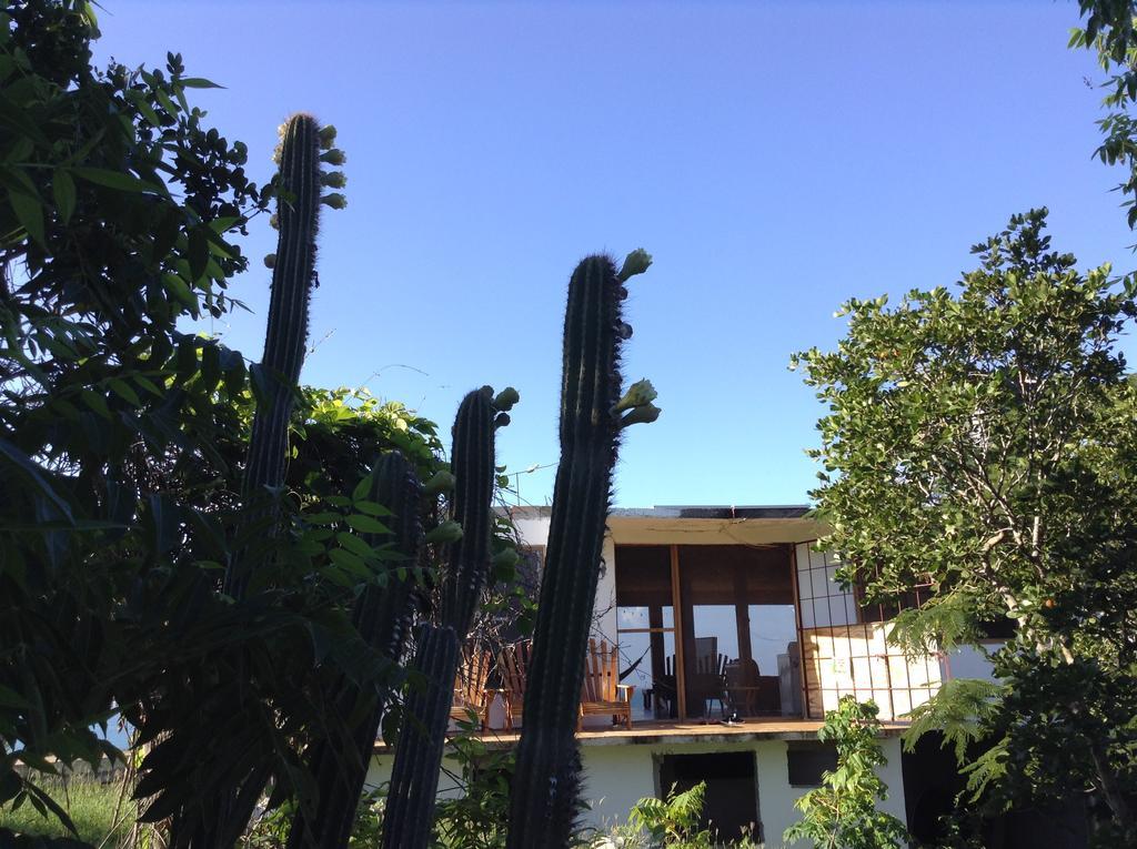 Hotel Welcoming Vibes Treasure Beach Exterior foto